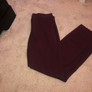 Express dress pants
